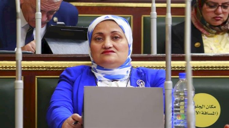برلمانية تشيد بإطلاق وزارة التضامن الاجتماعي حملة تصحح المفاهيم الخاطئة حول العنف