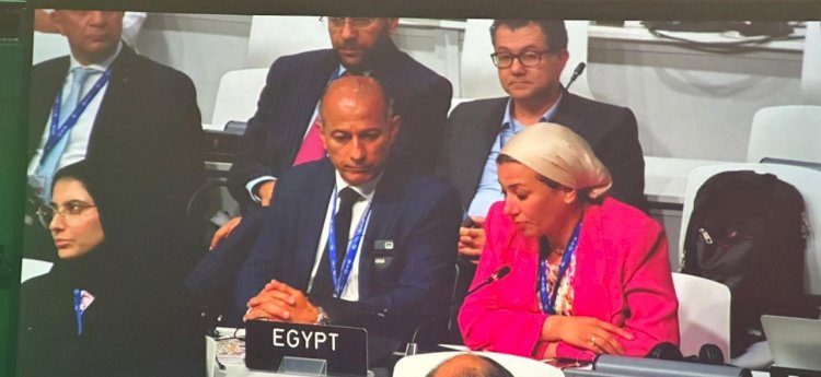 وزيرة البيئة تهنئ الإمارات على نجاح رئاستها للنسخة الثامنة والعشرين من مؤتمر المناخ COP28