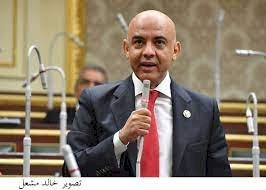 النائب عمرو هندى: المصريون أبهروا العالم بمشاركتهم فى الانتخابات الرئاسية