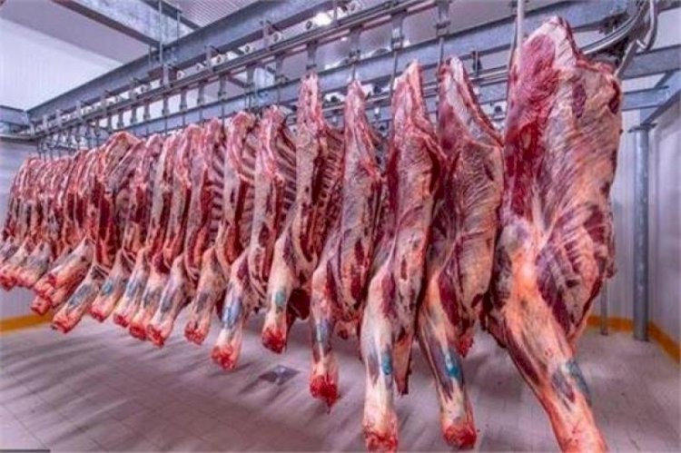 أسعار اللحوم في مصر اليوم السبت