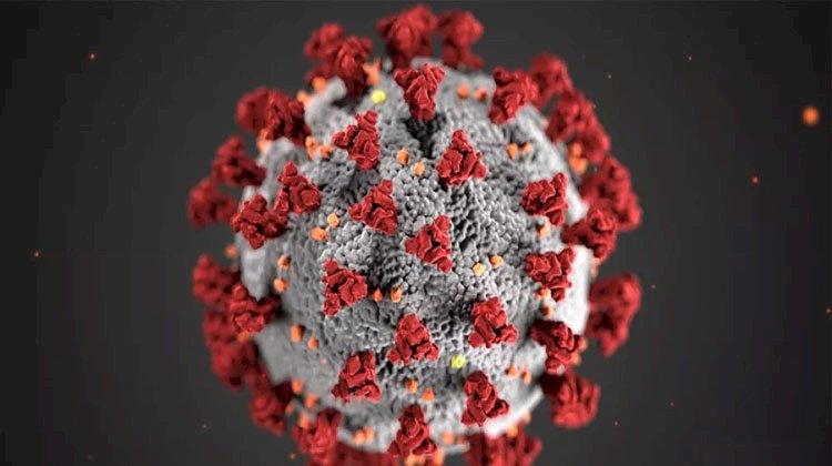 حقيقة رصد حالات إصابة بسلالات جديدة من إنفلونزا الخنازير داخل مصر