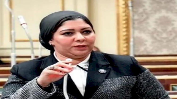 برلمانية عن إدعات الاحتلال ضد مصر: أكاذيب لا أساس لها من الصحة