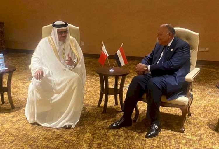 وزير الخارجية يلتقي بظيره البحريني للتباحث حول مستجدات الأوضاع الإقليمية