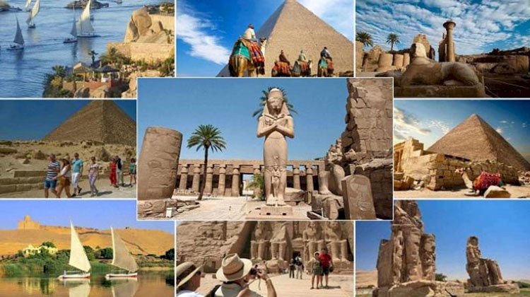 الشيوخ يناقش سبل تعزيز الجذب السياحي إلى مصر