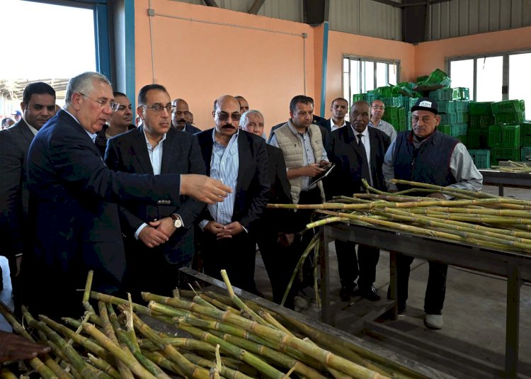 رئيس الوزراء يتفقد محطة شتلات قصب السكر بكوم امبو
