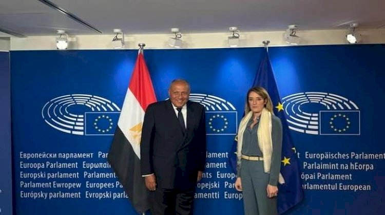 وزير الخارجية يؤكد أهمية تعزيز الحوار البناء والموضوعي بين مصر والبرلمان الأوروبي
