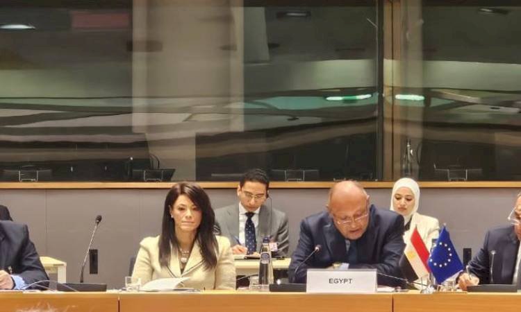 وزيرة التعاون تستعرض تقرير  عن العلاقات المصرية الأوروبية في إطار «مبادرة فريق أوروبا»