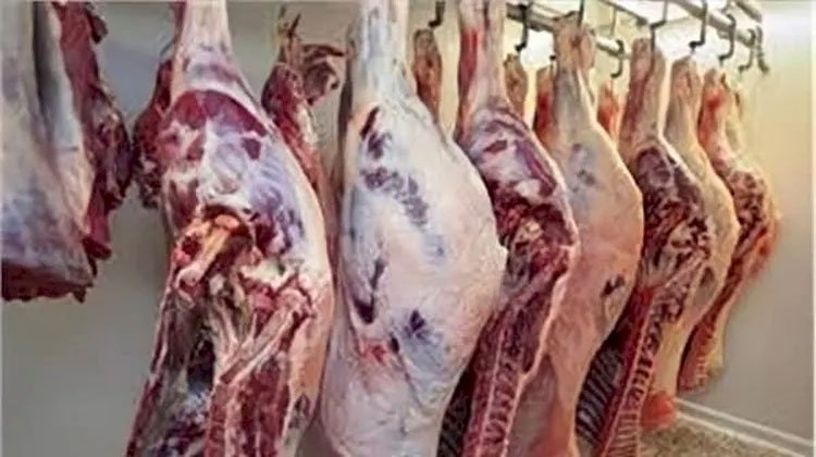 أسعار اللحوم في مصر اليوم الخميس