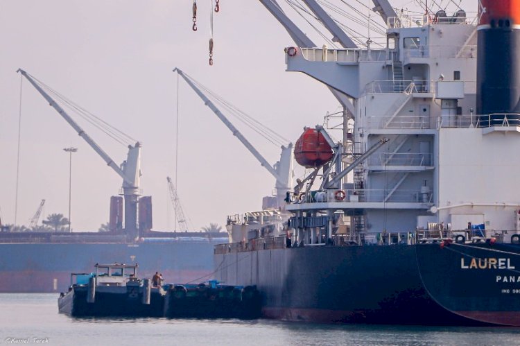 ميناء دمياط يستقبل سفينة مصرية تحمل 66000 طن قمح لصالح السلع التموينية