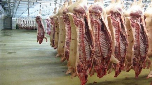 أسعار اللحوم في مصر اليوم الثلاثاء