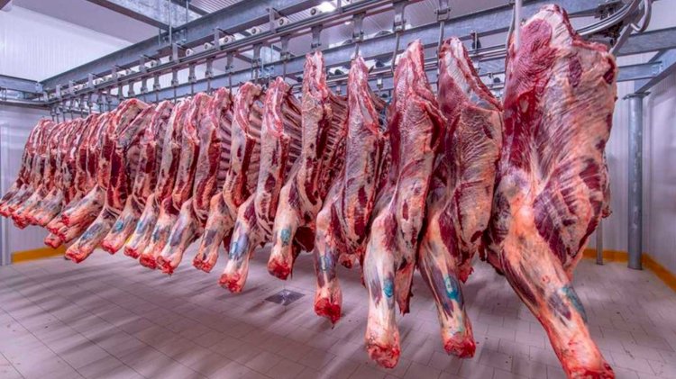 أسعار اللحوم في مصر اليوم الجمعة