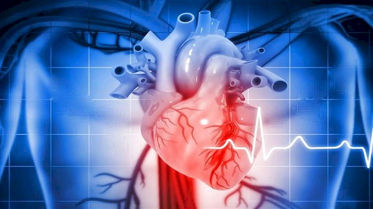 جمال شعبان يكشف عن أعراض تؤكد إصابتك بتلف عضلة القلب