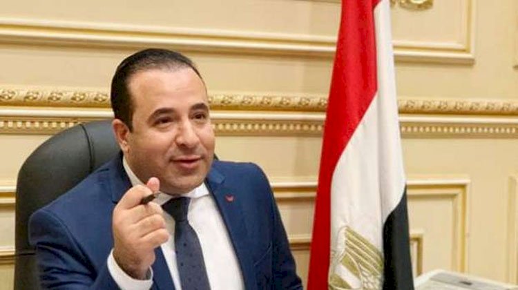 اتصالات النواب: مصر تقود انتفاضة دولية لوقف محاولات إبادة الفلسطينيين