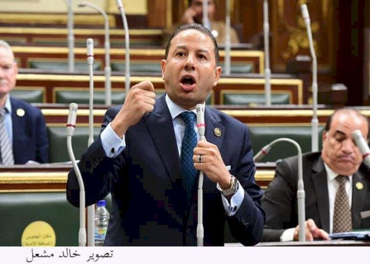 عضو اقتصادية النواب: زيارة الوفد الأوروبى لمصر دفعة مهمة للعلاقات الثنائية