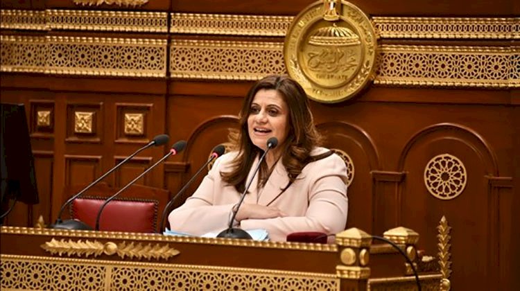 وزيرة الهجرة تستعرض جهود الاستفادة والتواصل مع الطلاب المصريين الدارسين في الخارج
