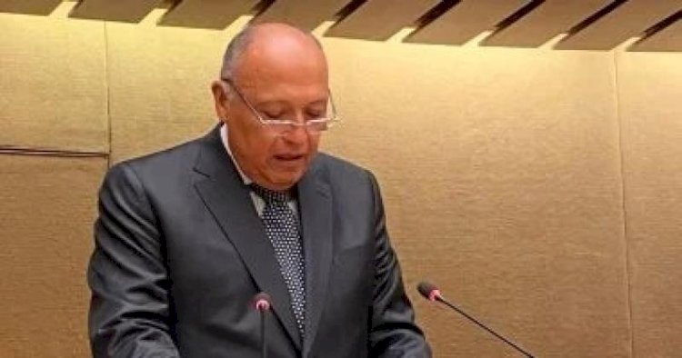 كلمة وزير الخارجية في احتفالية يوم الدبلوماسية المصرية