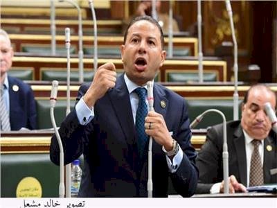 برلماني يطالب بخطة فعالة لزيادة استثمارات المصريين بالخارج