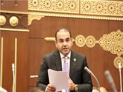 محمد المنزلاوى: مصر نجحت بوضع القضية الفلسطينية فى بؤرة اهتمامات العالم   