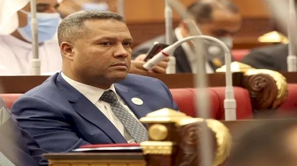 برلماني: مصر قدمت إنجازات كبيرة على مدار 10 سنوات واستطاعت هزيمة التحديات   