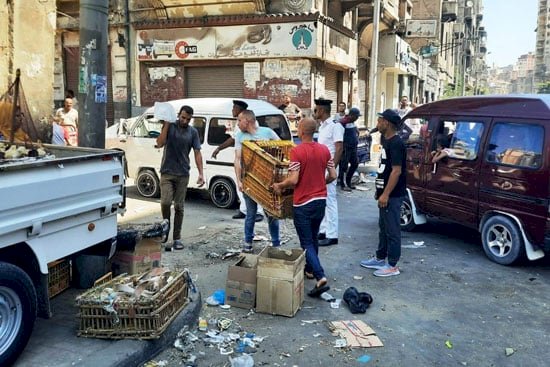 حملات مكبرة لإزالة الإشغالات شرقي الإسكندرية