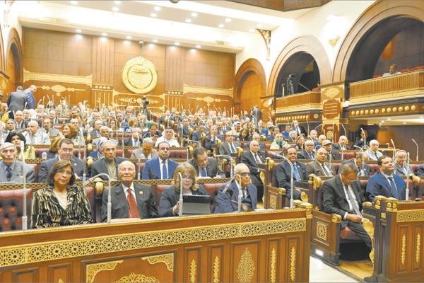 برلماني: الرؤية المصرية الضمانة الوحيدة لتحقيق الاستقرار الإقليمي