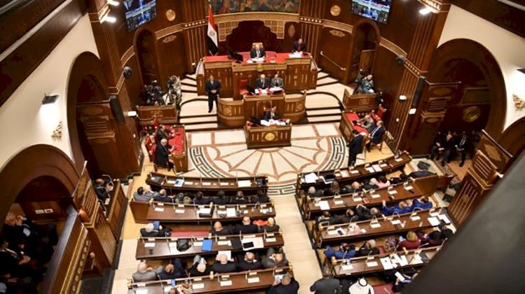 برلماني يطالب الحكومة بإتباع سياسة التقشف في ظل الأزمة الاقتصادية الحالية