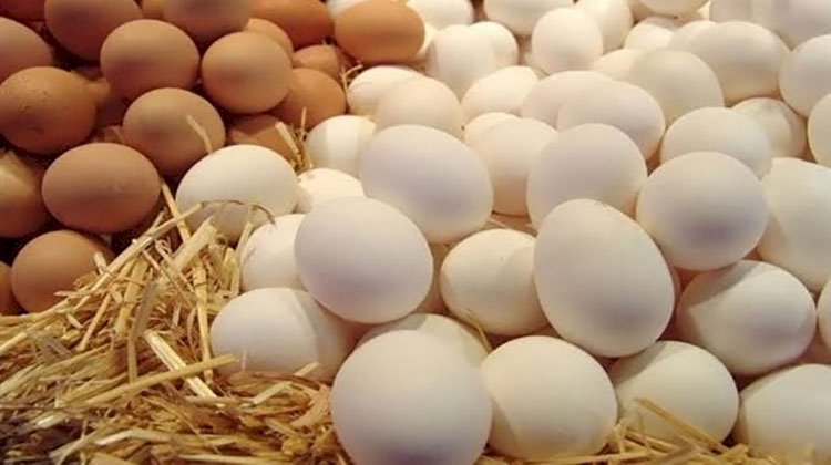 مفاجأة عن البيض الفاسد بالأسواق