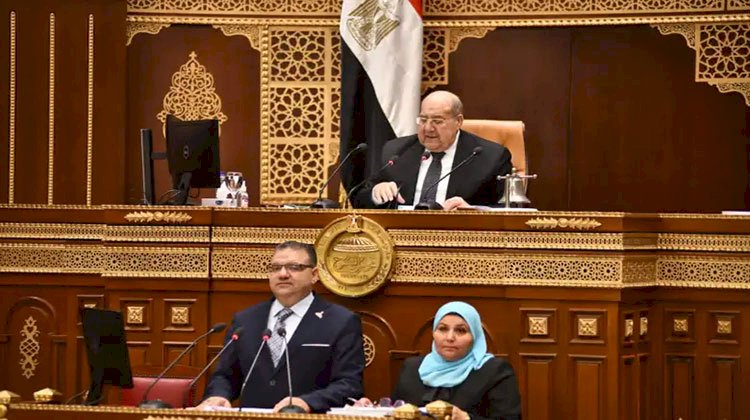 برلماني : بطولات سطرها شهدائنا وإعمار بإرادة المصريين