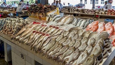 برلماني يطالب المواطنين بمقاطعة السلع بعد نجاح حملة الأسماك فى خفض أسعارها
