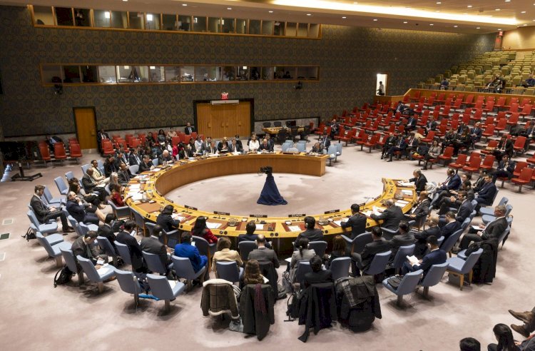 مجلس الأمن: بذلنا جهودا كبيرة للاعتراف بالدولة الفلسطينية لكن أجُهضت بالفيتو