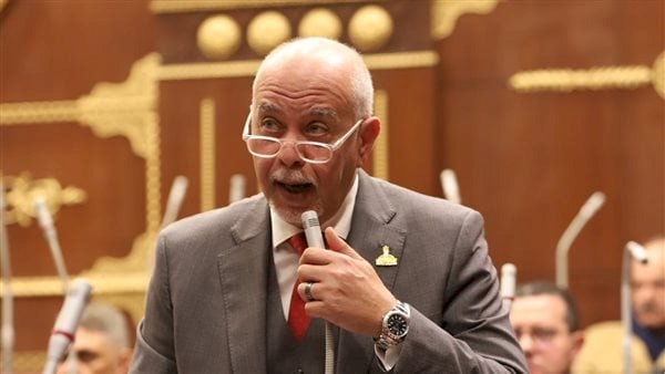 برلماني: تدشين اتحاد القبائل رسالة للجميع بإصطفاف المصريين خلف القيادة السياسية