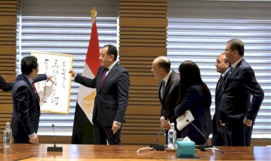 رئيس الوزراء يلتقي المدير العام لمنظمة الأغذية والزراعة للأمم المتحدة