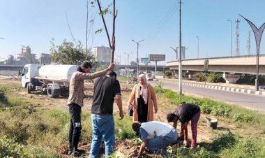 وزيرة التنمية تعلن انطلاق المرحلة الرابعة من المبادرة الرئاسية 100 مليون شجرة بالدقهلية