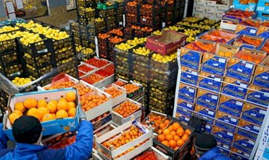 "الزراعة" تعلن خطة لتعزيز نفاذ الصادرات الزراعية المصرية للأسواق العربية والخليجية