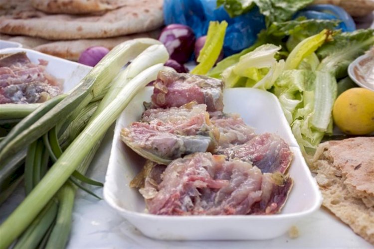 التسمم الممبارى.. يؤدى إلى الوفاة بسبب الفسيخ