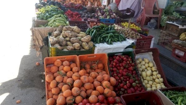 سعر الخضار والفاكهة اليوم الخميس في مصر