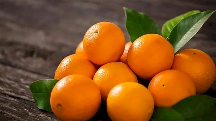 ماذا يحدث للجسم عند تناول البرتقال يوميا؟