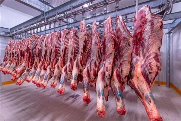 أسعار اللحوم في مصر اليوم الخميس 