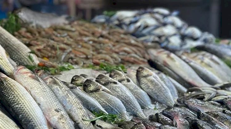 أسعار الأسماك انخفضت من 50 إلى 70% بعد المقاطعة