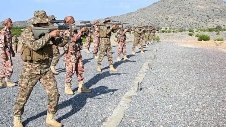 الجيش الباكستاني يعلن القضاء على 31 مسلحا في عمليتين أمنيتين