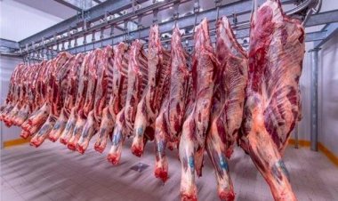 أسعار اللحوم في مصر اليوم الخميس