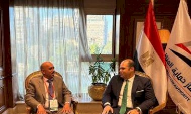 رئيس جهاز حماية المنافسة يعقد عدة لقاءات ثنائية مع رؤساء أجهزة المنافسة الأفريقية