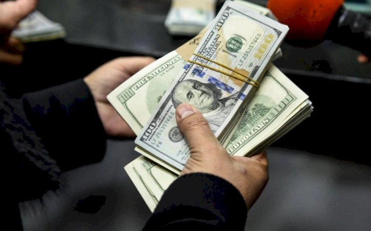 47.2. % ارتفاع في تحويلات المصريين بالخارج خلال عام 2025