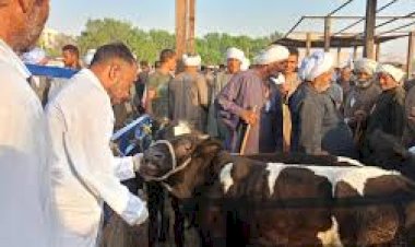 الثروة الحيوانية بالأقصر.. حملات لتحصين 109 آلاف رأس ماشية