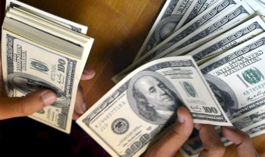 أسعار الدولار في مصر اليوم السبت