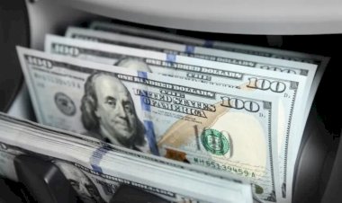 أسعار الدولار في مصر اليوم الأحد