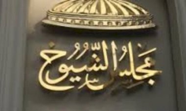 برلماني: إصدار الصكوك السيادية يخلق أدوات استثمارية للمؤسسات المحلية