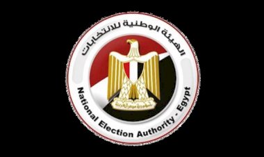 الهيئة الوطنية تعلن إصابة قاضيين بالبحيرة والمنيا باعياء شديد واستبدالها بآخرين