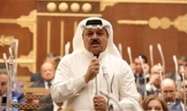 برلمانى: مشاركة المصريين في الانتخابات تاريخية وفاقت كل التوقعات