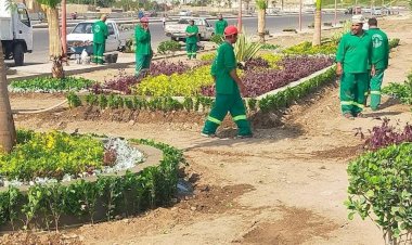 وزيرة التنمية المحلية تعلن انطلاق المرحلة الرابعة من المبادرة الرئاسية "100 مليون شجرة" بمحافظة الشرقية